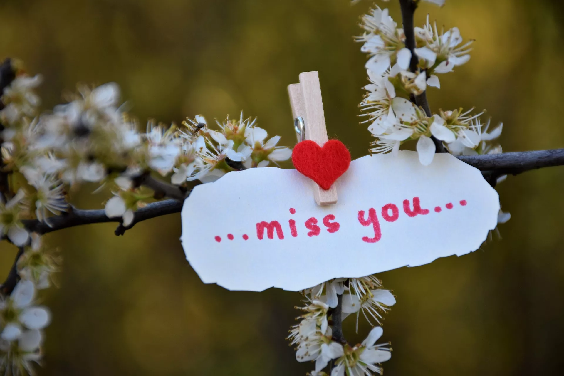 Romantic Messages That Express True Feelings